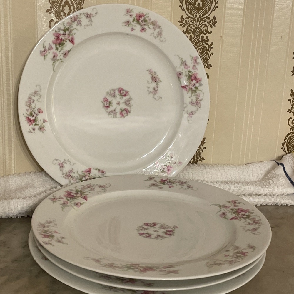 Set‎ of Limoges 8.5" White Luncheon Plates BSS3 Pink Morning Glories Austria